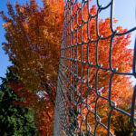 Life in Focus portrait (8 of 18)